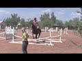 Equitation contest entry Equitation contest entry
