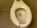 Longest Flush