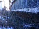 Finnish Fur Farm Investigation