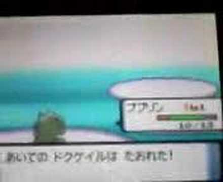 Lv1ププリン53レベのドクケイル撃破