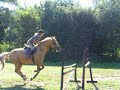 Gymnastika - já a Logen Gymnastika - já a Logen