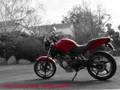 videos de VTR250 exhaust