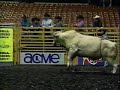 Bull Riders Only - Bucking Bulls Bull Riders Only - Bucking Bulls