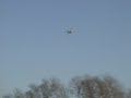 RC Canadair Water Bomber CL215 BWA Billing Northampton