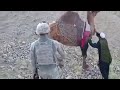 Camel Trolls American Soldier