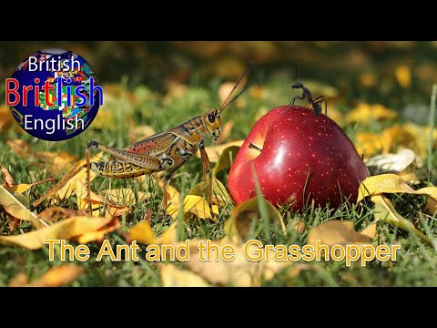 Grasshopper and the Ant | Learn English | Aesop's Fables