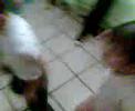 Loz Primoz Maz Chikitoz Bailando Reggeaton Loz Primoz Maz Chikitoz Bailando Reggeaton