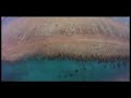 experimental video