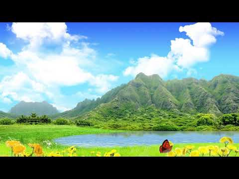 動画