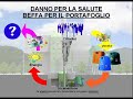 \"Due volti dell\