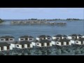 Aerosoft Maldives X Fsx