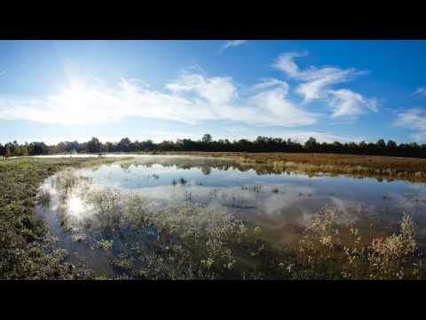 3,248 acres Avery, TX