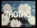 Panda Tao Tao