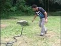 ���� ����� ���� �� ������ ���� ���