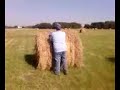 LARRY THE LAND SURVEYOR ACT 3