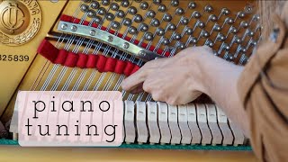 The Art of Piano Tuning