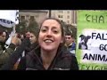 Nueva manifestación pro rescate animales de Chaitén