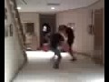 Sockem Boppers KO.mp4