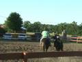 videos de Watertown Ribbon Molly-Jamie