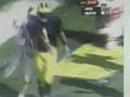 videos de Michigan highlight reel