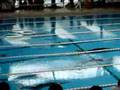 Final campeonato internacional natación aletas Donosti 2008