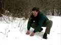 Common Animal Tracks