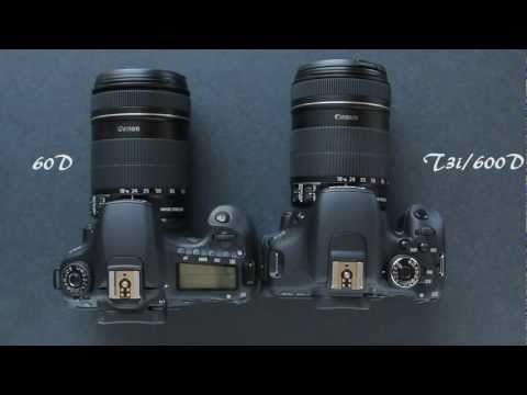 60D or T3i / 600D – which