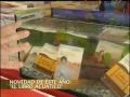 Libros acuáticos en Punto de lectura (A3)