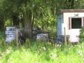 THC & Sandlewood Holding the Crack Shack