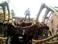 La Machine spider in Liverpool