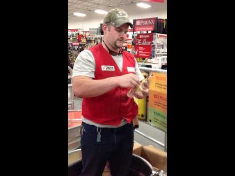 how to determine gender of baby