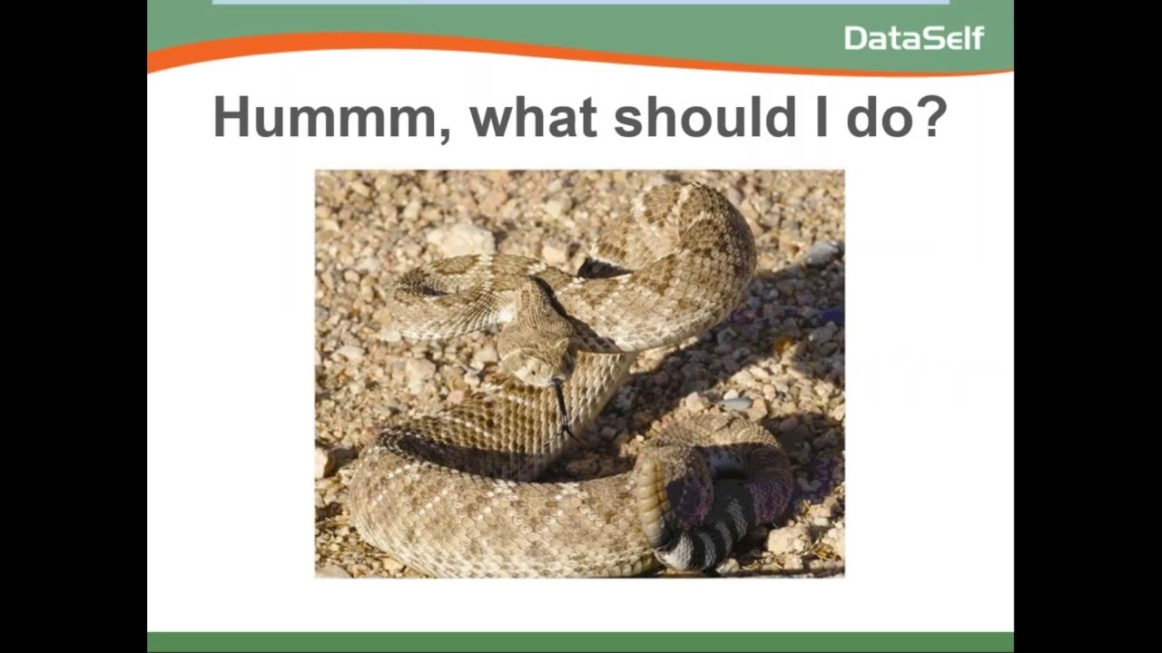 DataSelf Analytics (Tableau) for Multi Company Consolidation