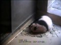 2009-11-26 Yun Zi: I Wanna Go With You!.