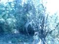 Lago, bosque, paz & tranquilidad