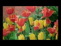 Araluen Botanic gardens Roleystone Western Australia