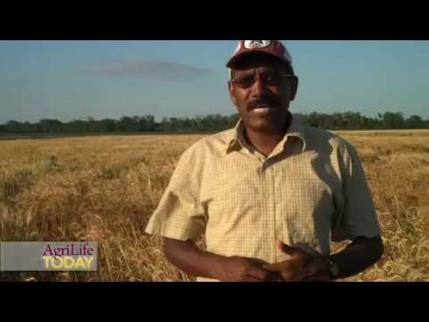Vidéo