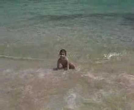 There are golden sand beaches in ...