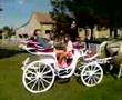 videos de fijaker stari
