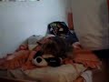 Luppy y el peluche