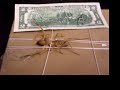 Camel Spider Solfugid Iraq legs jaws pinchers tied rope down amazing wierd cool best wind scorpion spiders venomous