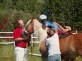 Andrew at Hippotherapy