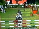 ARIANNA CASINO - CSI* BASSA INTERNAZIONALE