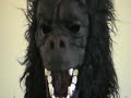 Cadbury Advert - Gorilla Drummer Remake by Savan Haria Cadbury Advert - Gorilla Drummer Remake by Savan Haria