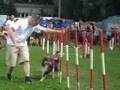 2008.08.09 Snoopy Guido - Jumping Aarschot (HS Sloeber)