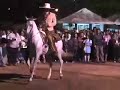 Caballos Bailadores en San Jose del Cabo