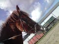 Queno et moi