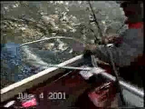 Steve's Great Bear Adventure Part 2 ...