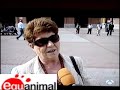 Equanimal: Salto al Ruedo Por la Abolición de la Tauromaquia
