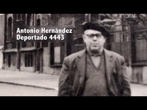 Imatge de previsualització de YouTube