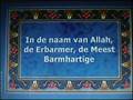 A Tauba Tegen Film Fitna Geert Wilders, Tegen Wereld wildaad